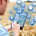 Agriculture : comment l’IoT répond aux plus grands défis écologiques ?