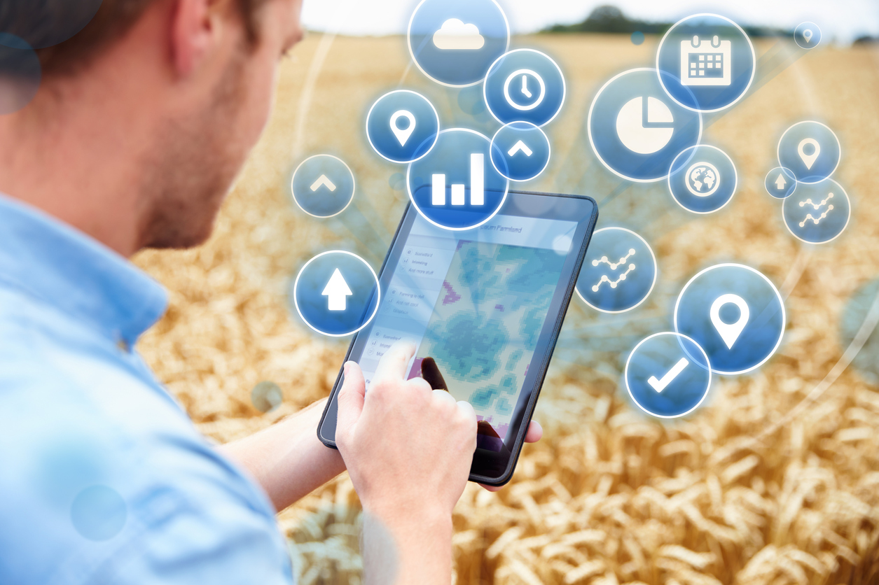Agriculture : comment l’IoT répond aux plus grands défis écologiques ?
