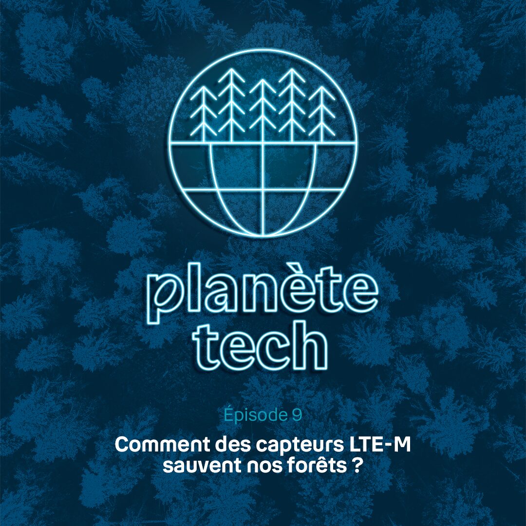 DILCRAH PERSONNES 43 01 copie.psb Foret